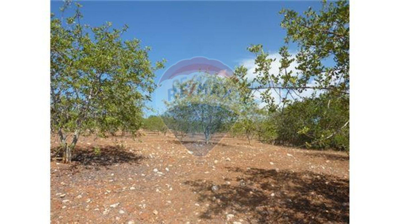 Terreno P/ Prédio para Venda em Albufeira e Olhos de Água Foto 3