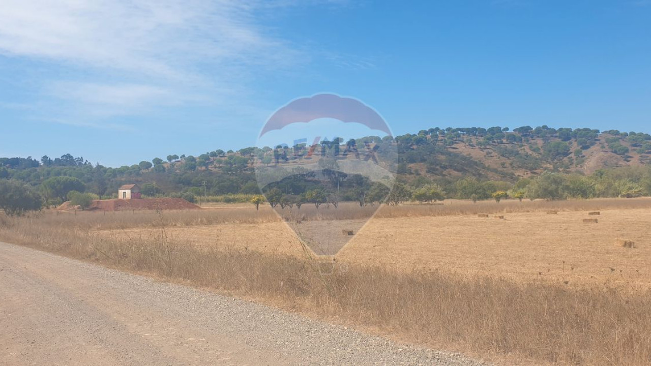 Terreno P/ Prédio para Venda em São Bartolomeu de Messines Foto 6