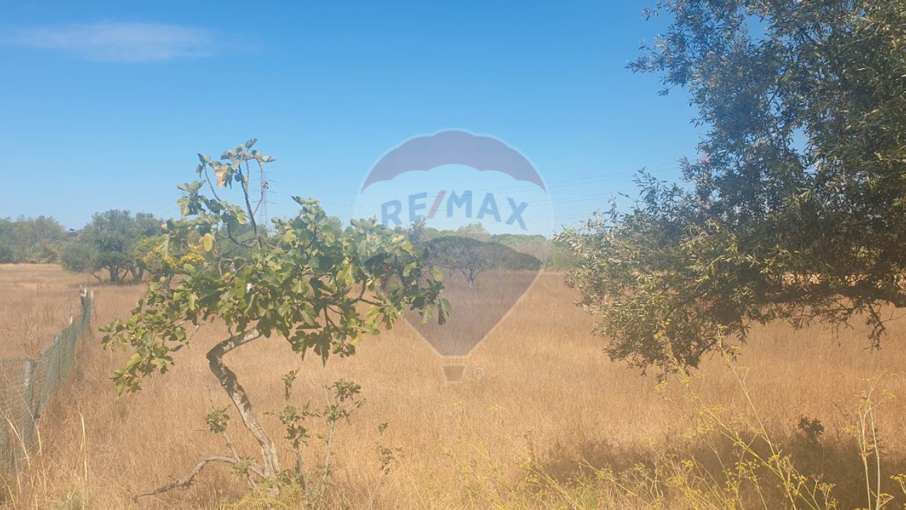 Terreno P/ Prédio para Venda em São Bartolomeu de Messines Foto 3