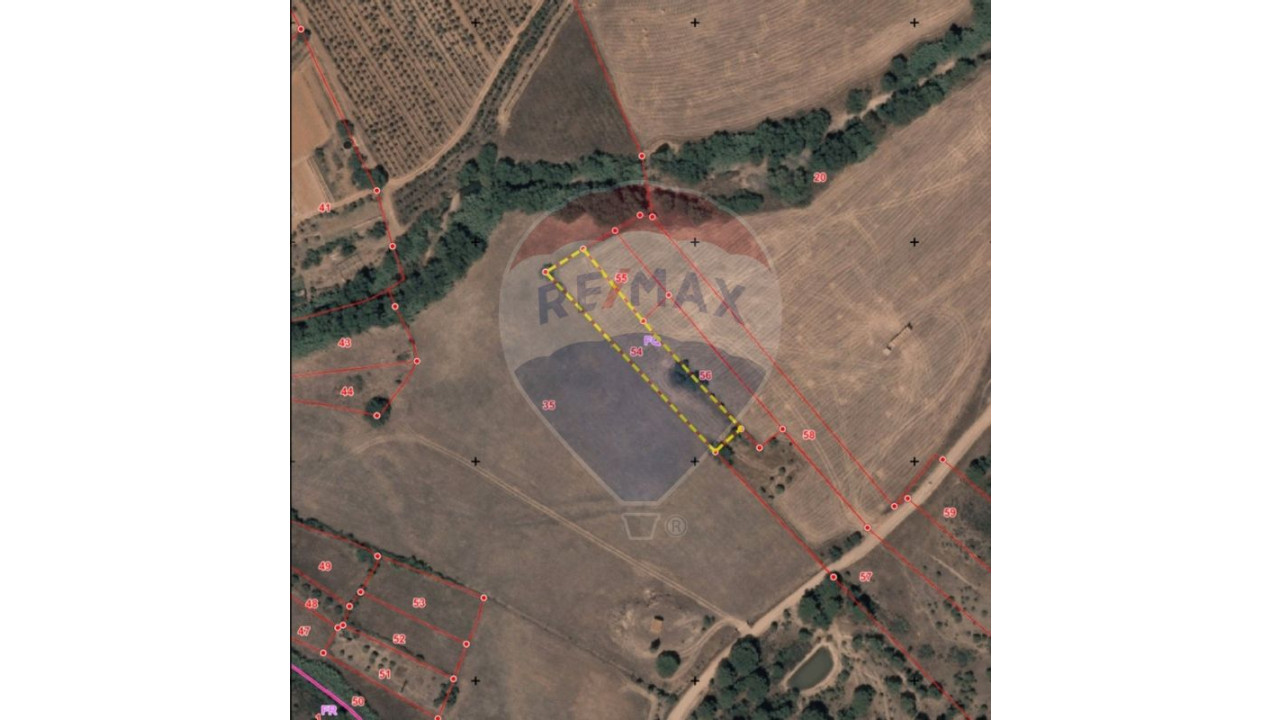 Terreno P/ Prédio para Venda em São Bartolomeu de Messines Foto 9