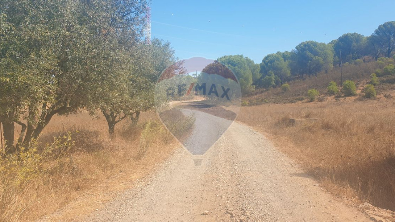 Terreno P/ Prédio para Venda em São Bartolomeu de Messines Foto 7