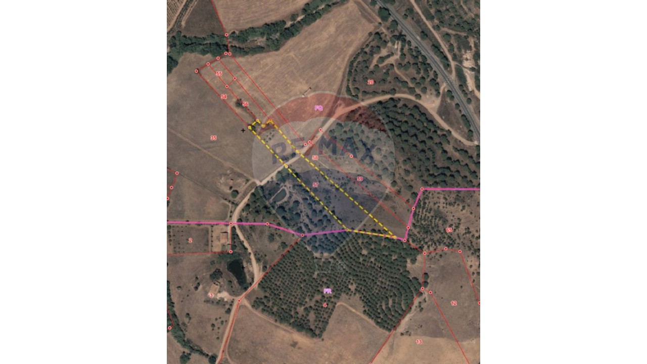 Terreno P/ Prédio para Venda em São Bartolomeu de Messines Foto 10
