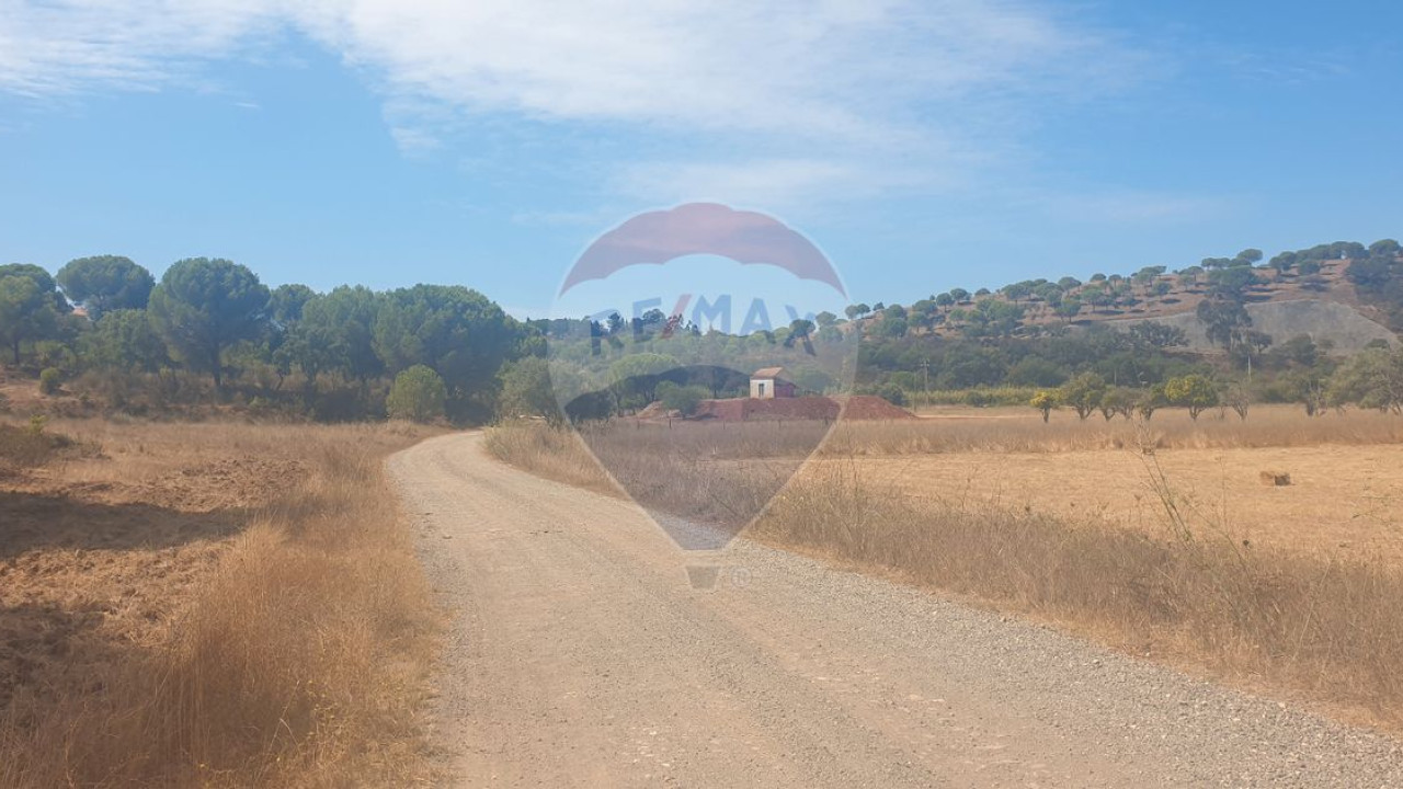 Terreno P/ Prédio para Venda em São Bartolomeu de Messines