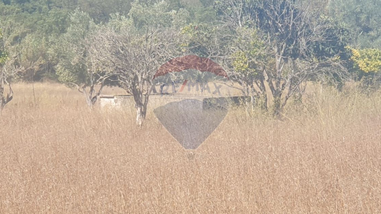 Terreno P/ Prédio para Venda em São Bartolomeu de Messines Foto 5