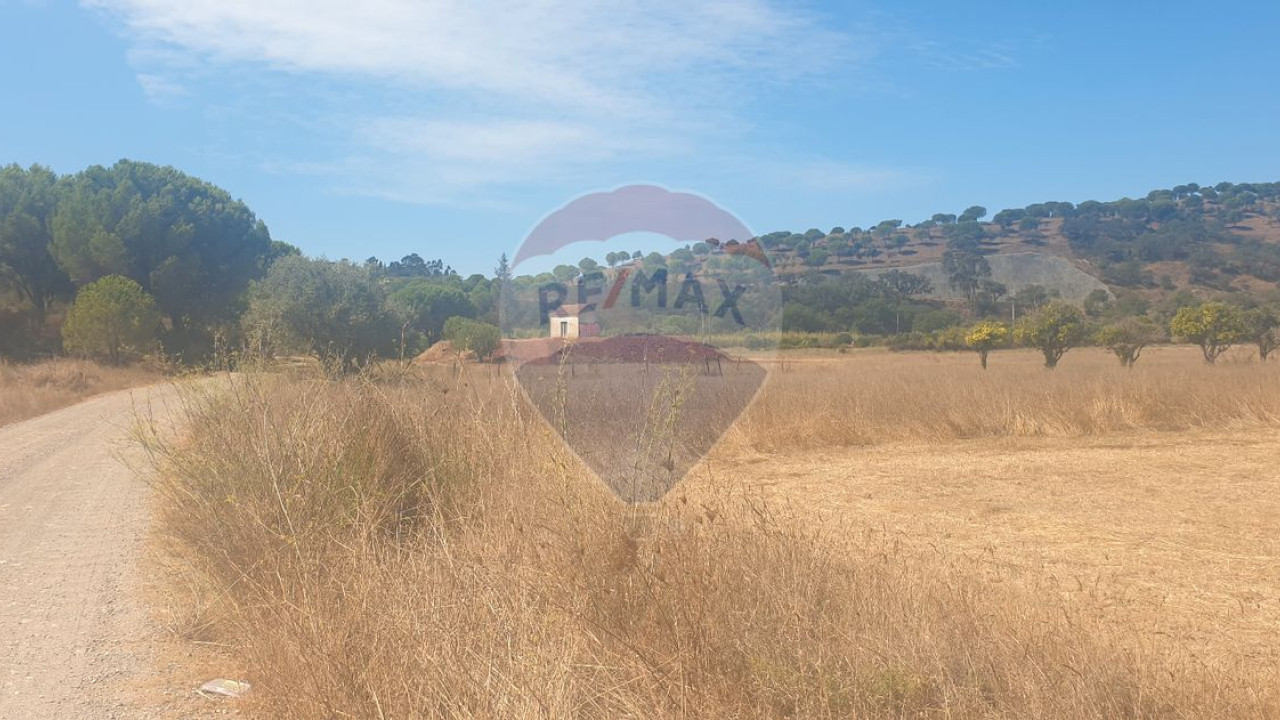 Terreno P/ Prédio para Venda em São Bartolomeu de Messines Foto 4
