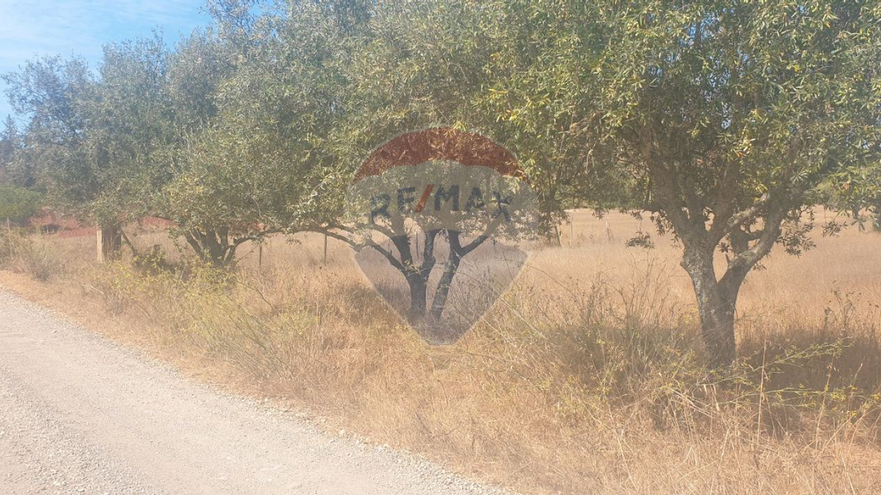Terreno P/ Prédio para Venda em São Bartolomeu de Messines Foto 2