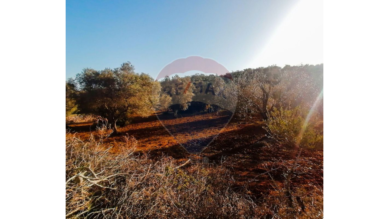 Terreno P/ Prédio para Venda em Boliqueime Foto 1