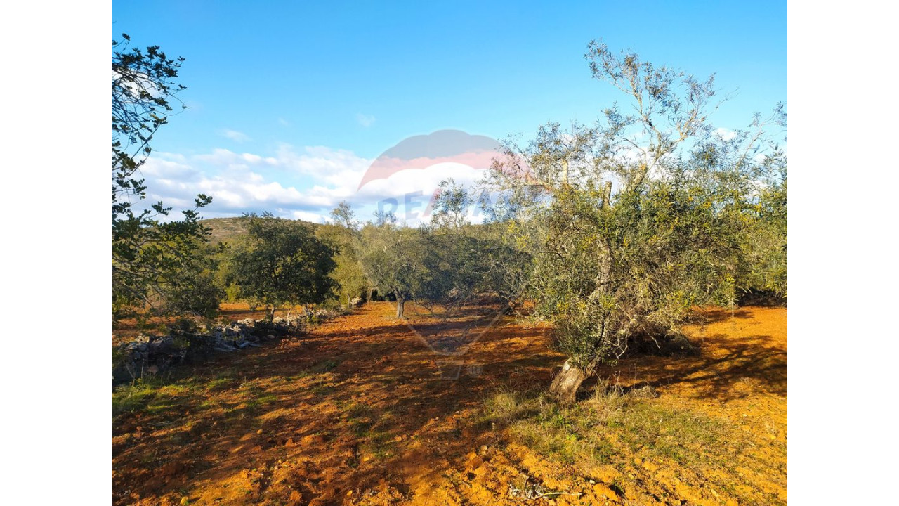 Terreno P/ Prédio para Venda em Boliqueime Foto 3