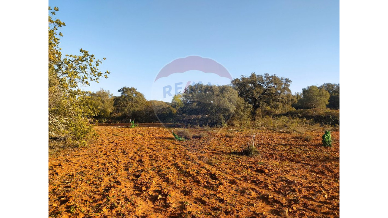Terreno P/ Prédio para Venda em Boliqueime Foto 2