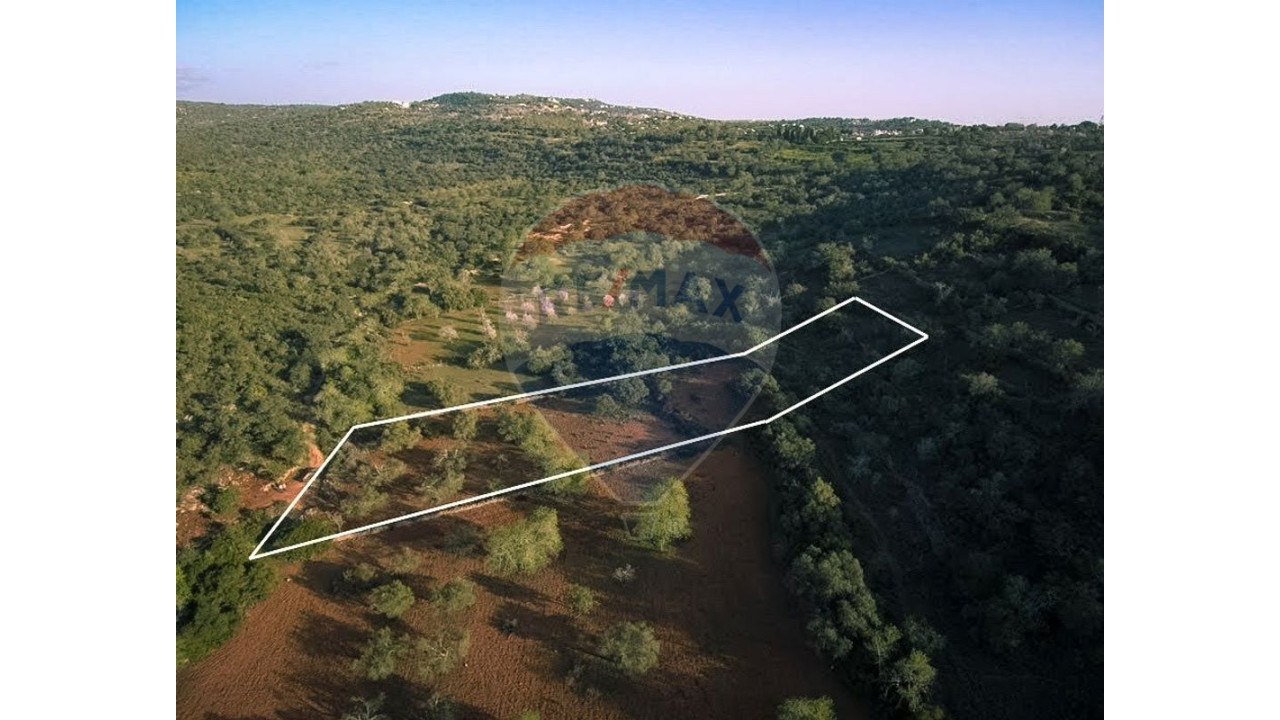 Terreno P/ Prédio para Venda em Boliqueime Foto 4