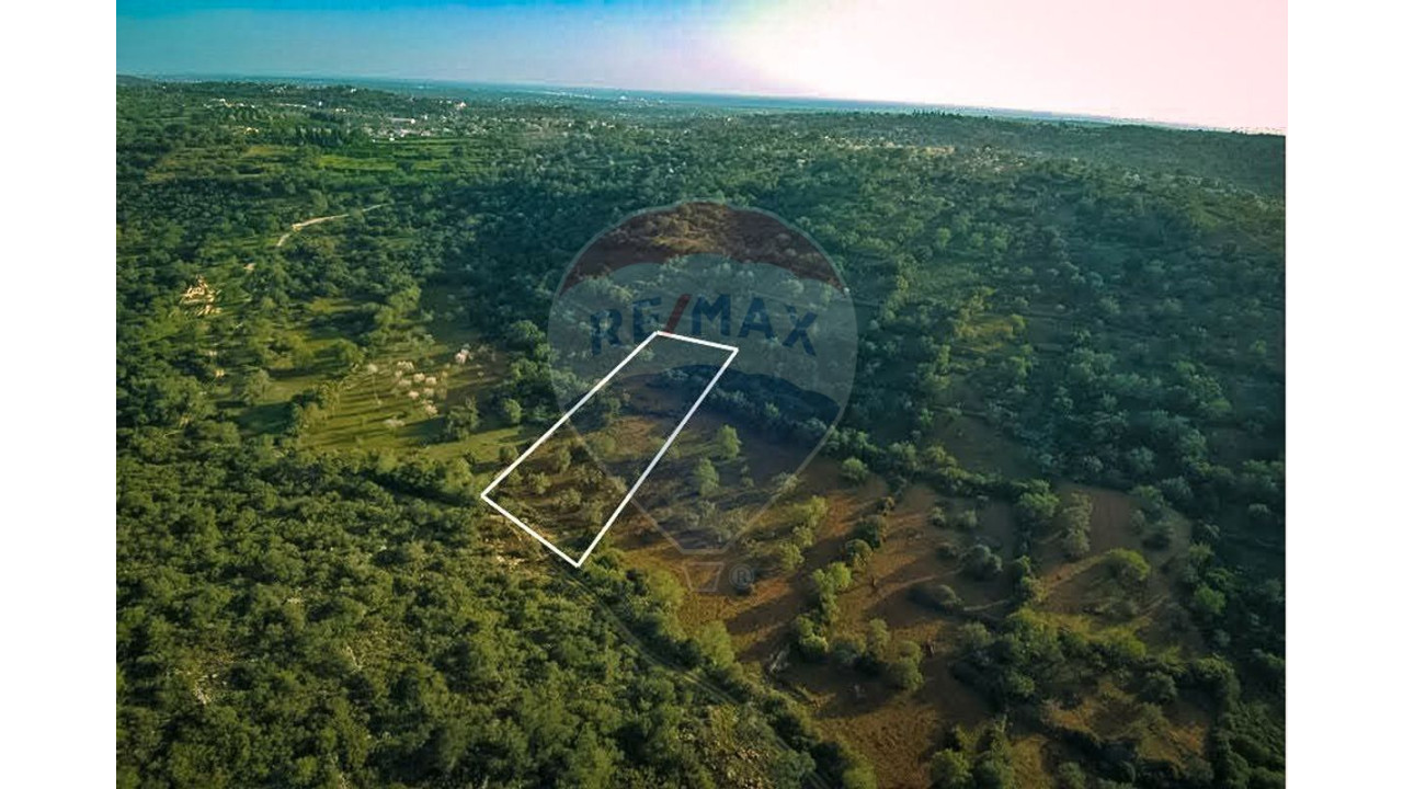 Terreno P/ Prédio para Venda em Boliqueime Foto 5