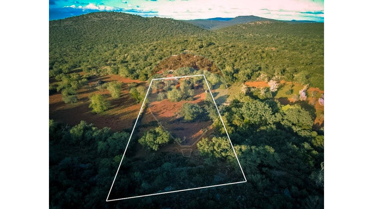 Terreno P/ Prédio para Venda em Boliqueime Foto 6