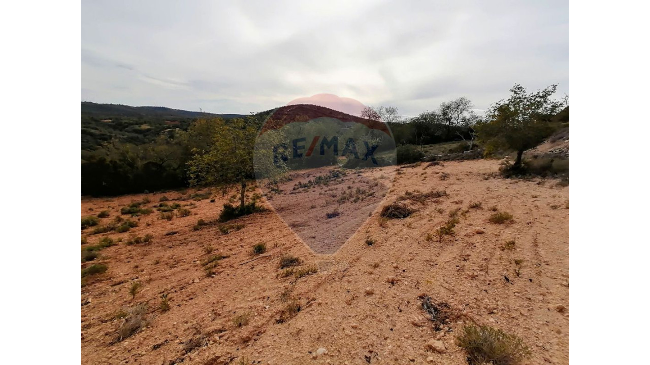 Terreno P/ Prédio para Venda em Boliqueime Foto 3