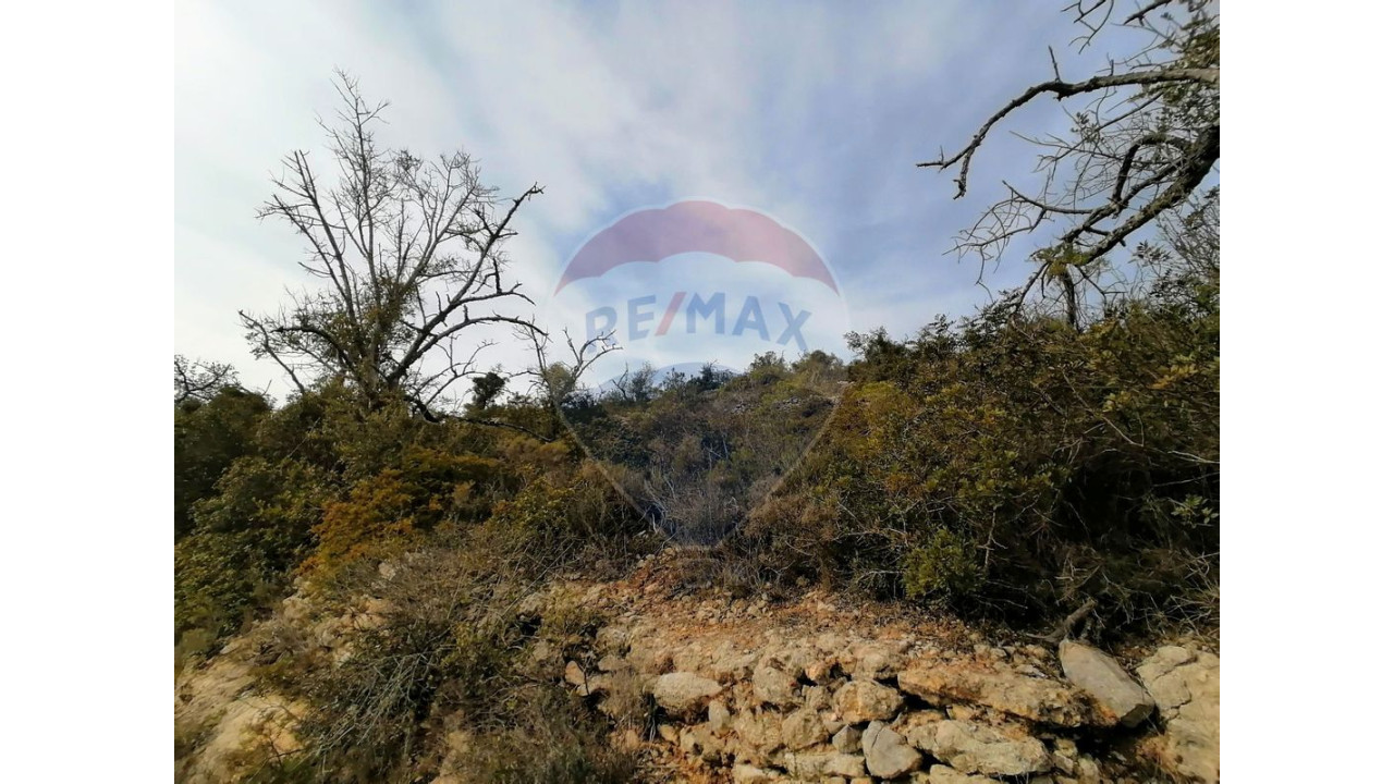 Terreno P/ Prédio para Venda em Boliqueime Foto 4