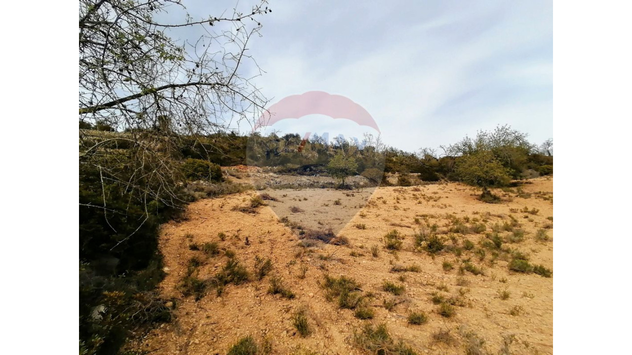 Terreno P/ Prédio para Venda em Boliqueime Foto 2