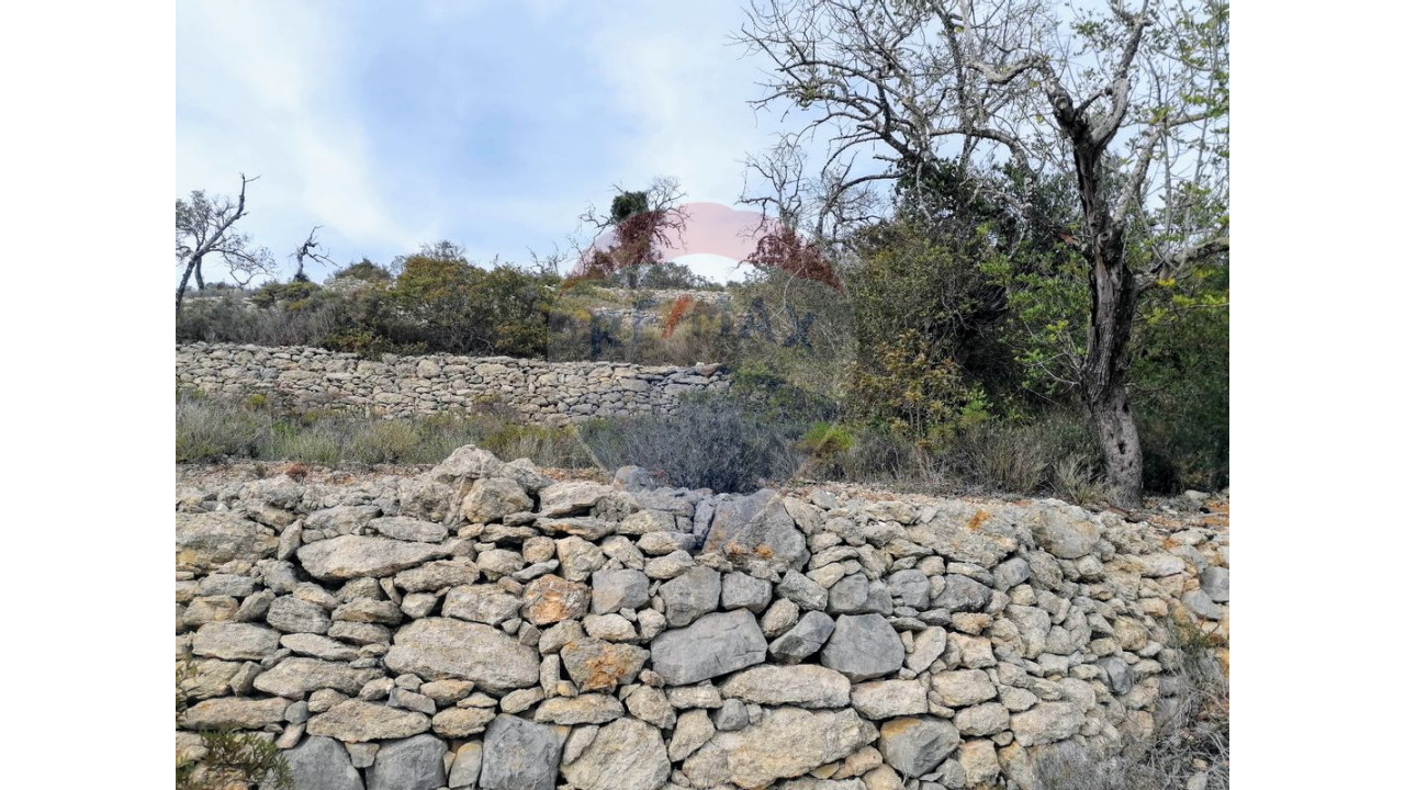Terreno P/ Prédio para Venda em Boliqueime Foto 5