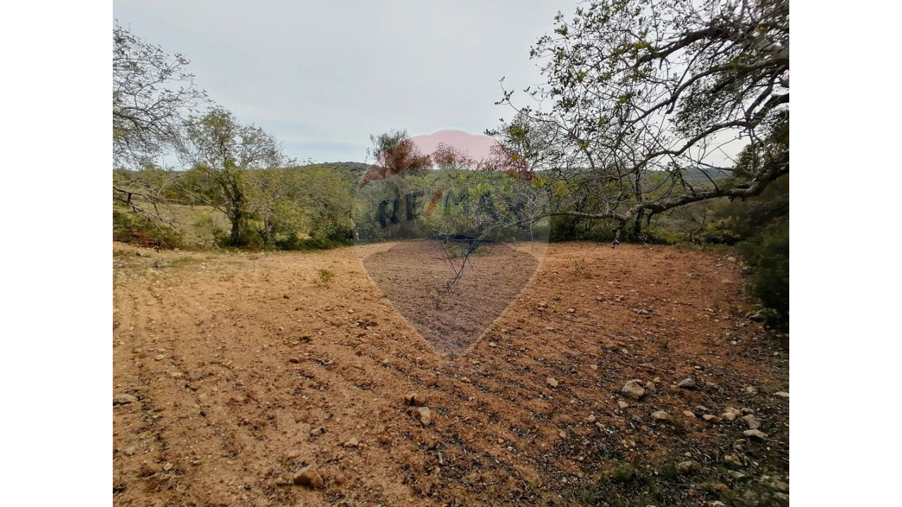 Terreno P/ Prédio para Venda em Boliqueime Foto 1