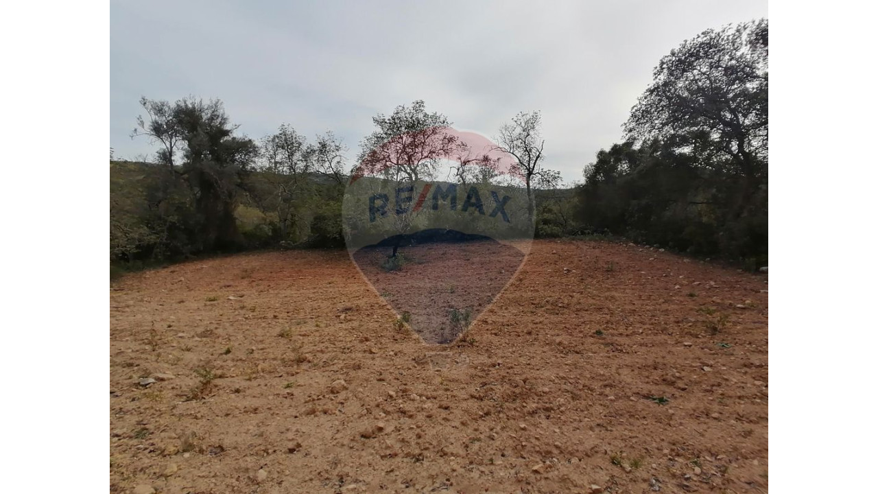 Terreno P/ Prédio para Venda em Boliqueime Foto 4