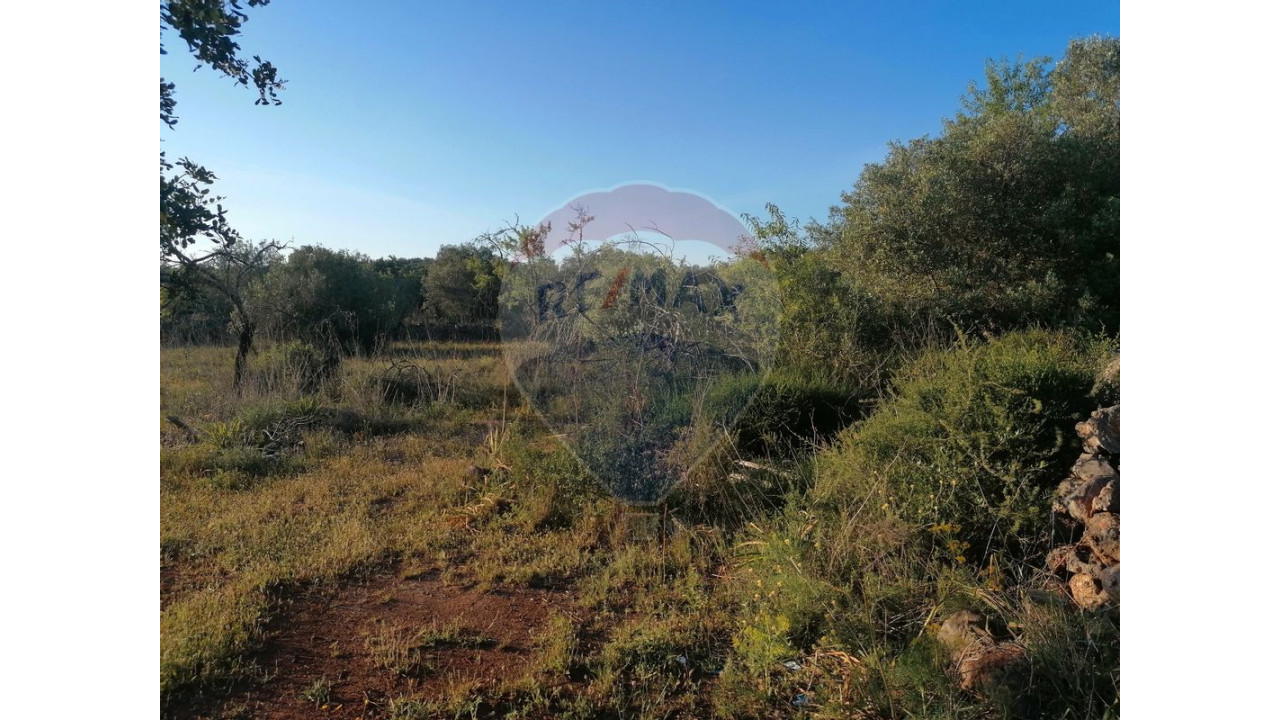 Terreno P/ Prédio para Venda em São Bartolomeu de Messines Foto 3
