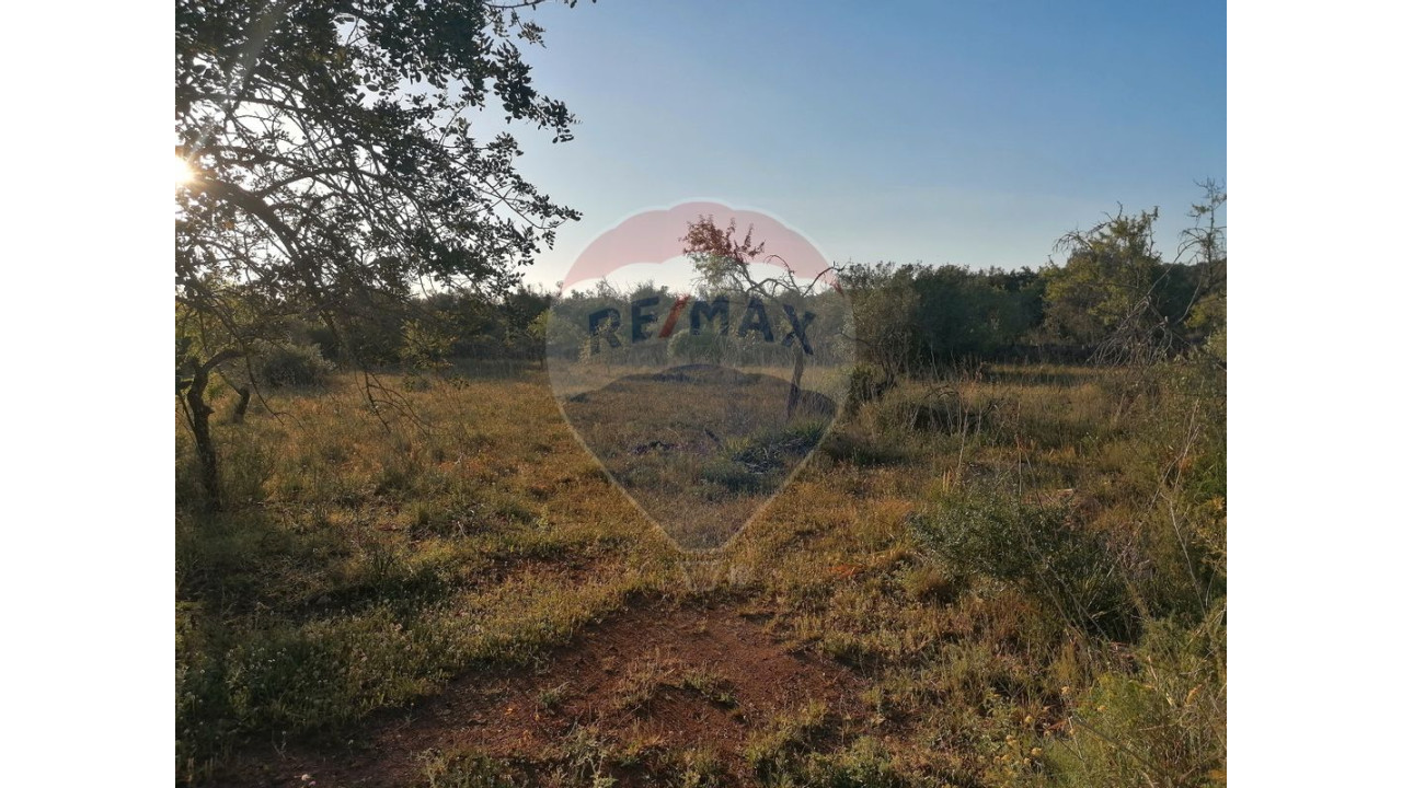 Terreno P/ Prédio para Venda em São Bartolomeu de Messines