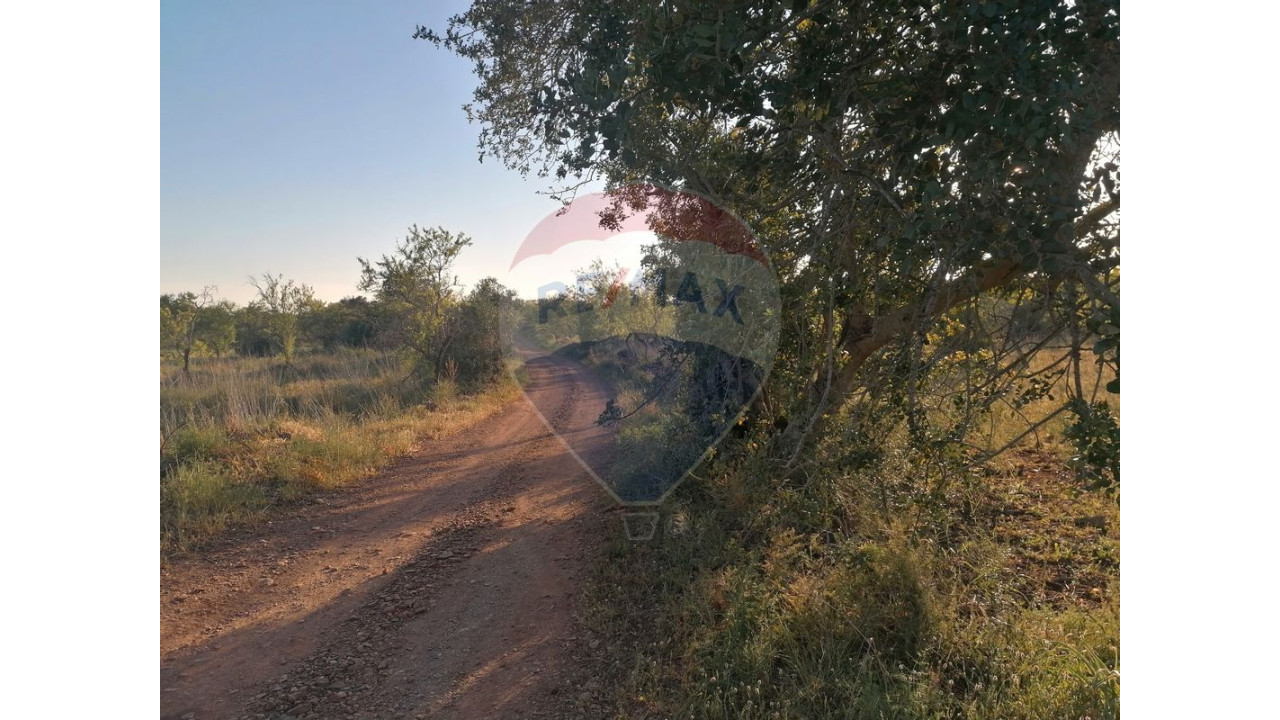Terreno P/ Prédio para Venda em São Bartolomeu de Messines Foto 2