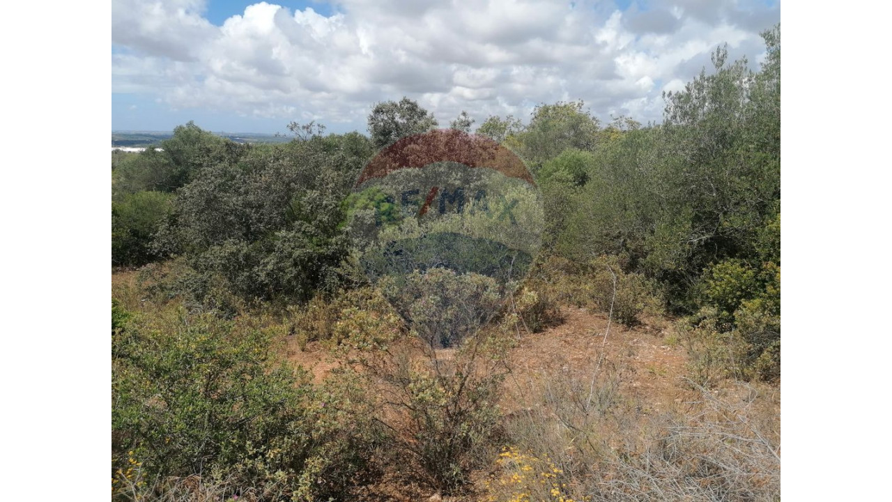 Terreno P/ Prédio para Venda em São Bartolomeu de Messines