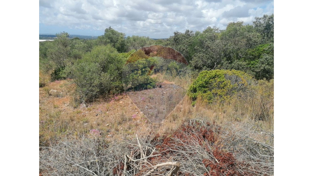 Terreno P/ Prédio para Venda em São Bartolomeu de Messines Foto 2