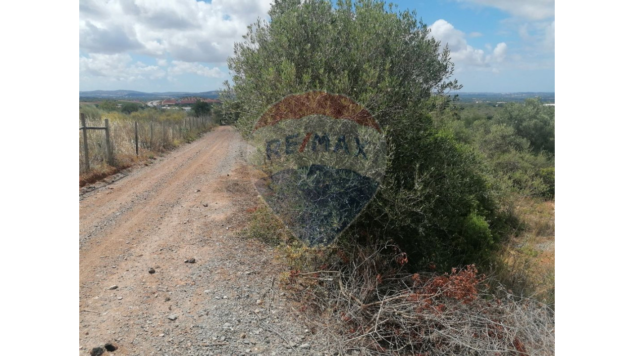 Terreno P/ Prédio para Venda em São Bartolomeu de Messines Foto 3