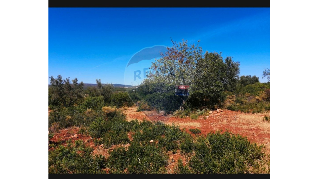 Terreno P/ Prédio para Venda em Paderne Foto 1