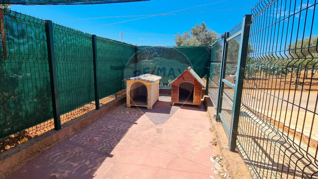Terreno P/ Prédio para Venda em Boliqueime Foto 17