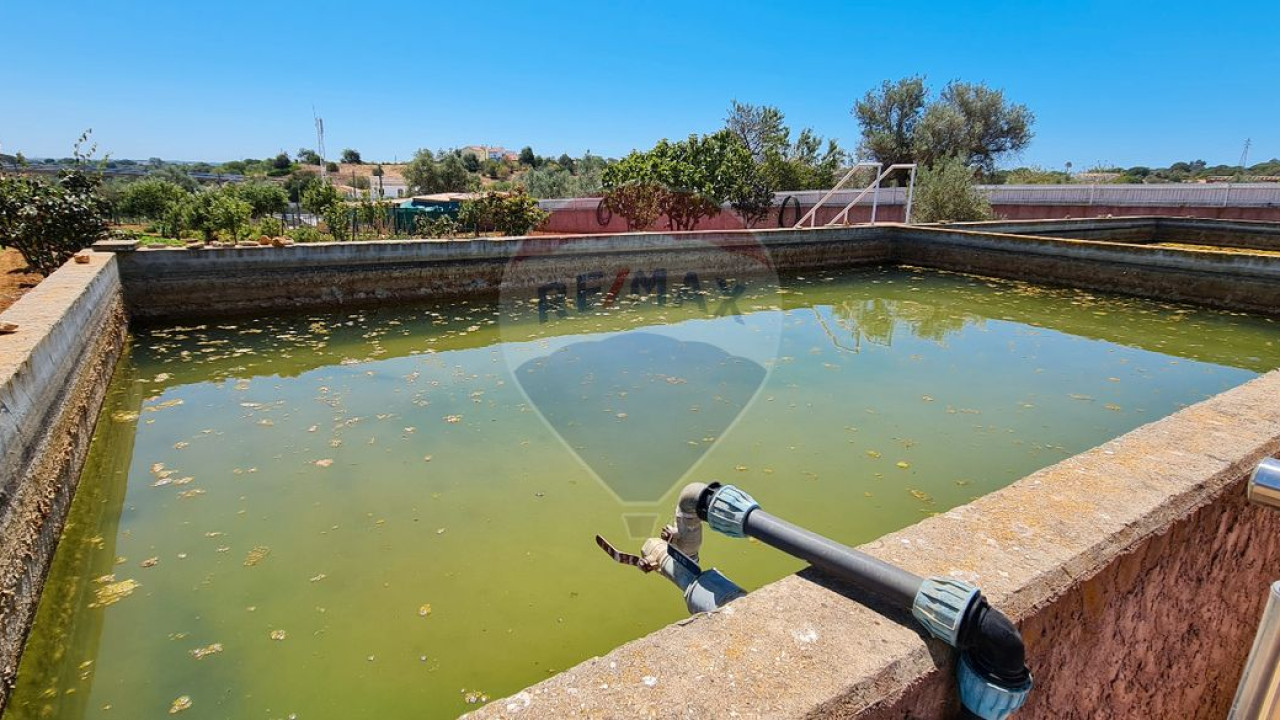 Terreno P/ Prédio para Venda em Boliqueime Foto 28
