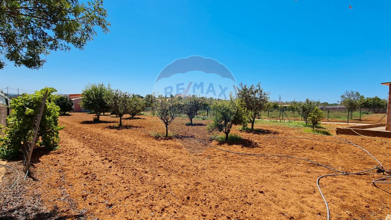 Terreno P/ Prédio para Venda em Boliqueime Foto 22