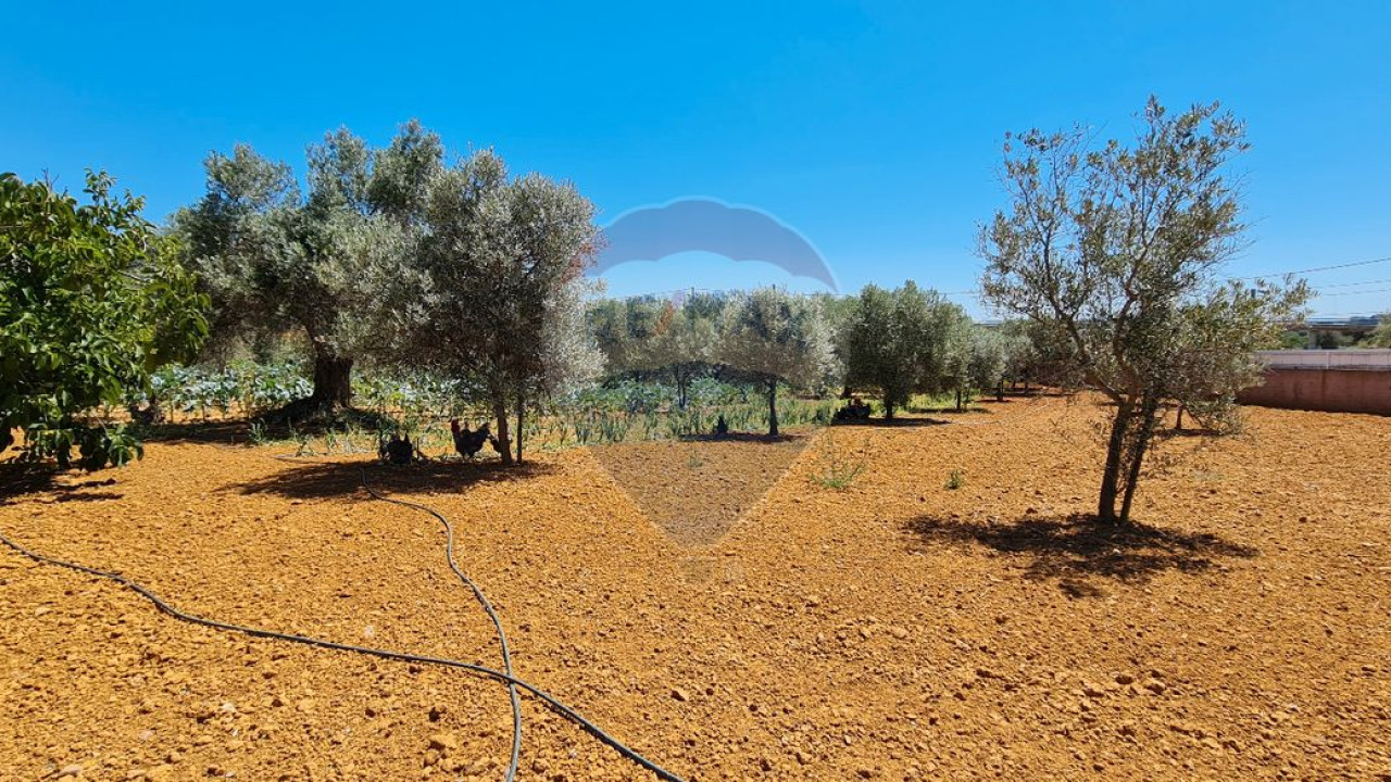 Terreno P/ Prédio para Venda em Boliqueime Foto 34