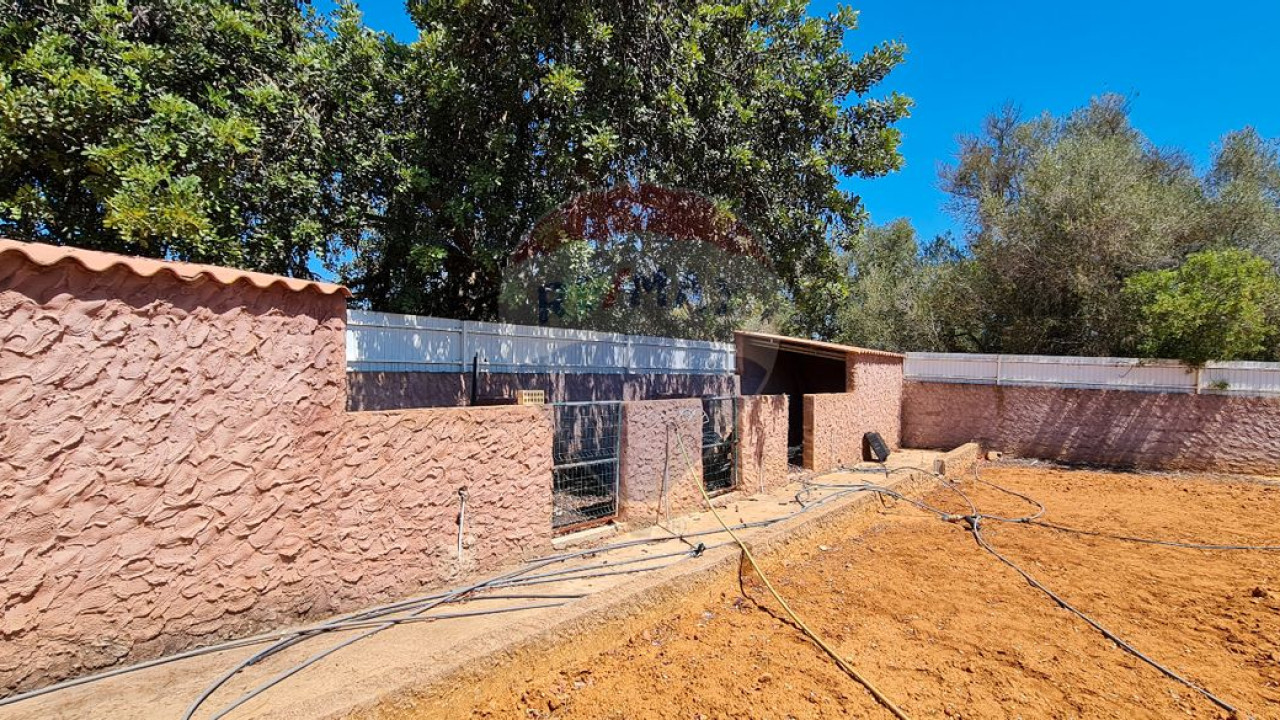 Terreno P/ Prédio para Venda em Boliqueime Foto 20
