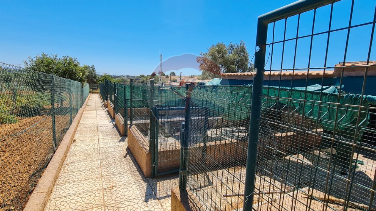 Terreno P/ Prédio para Venda em Boliqueime Foto 25