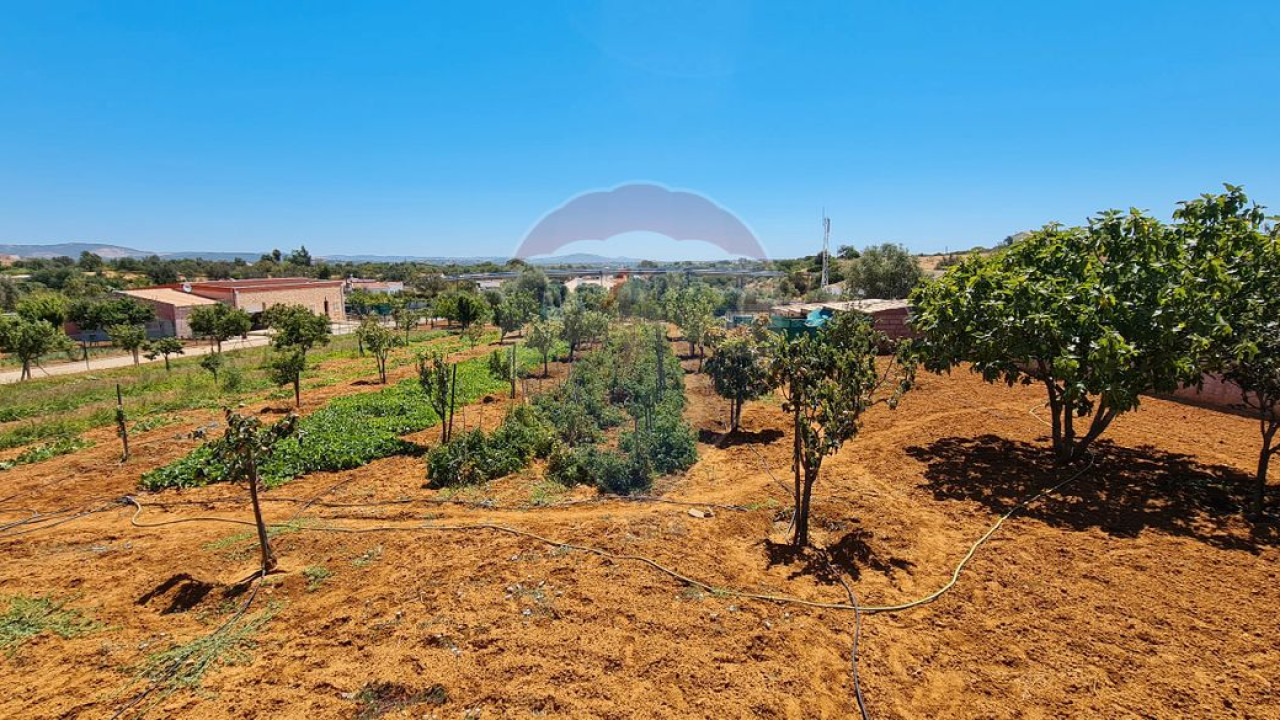Terreno P/ Prédio para Venda em Boliqueime Foto 21