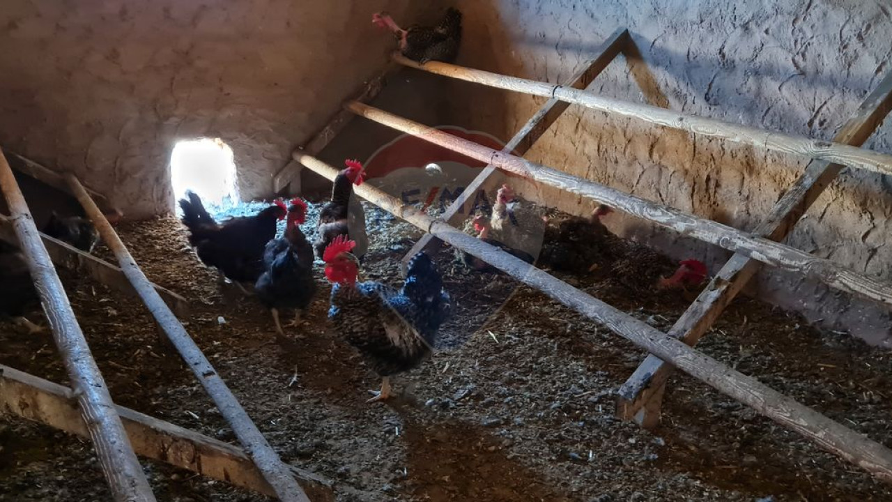 Terreno P/ Prédio para Venda em Boliqueime Foto 32