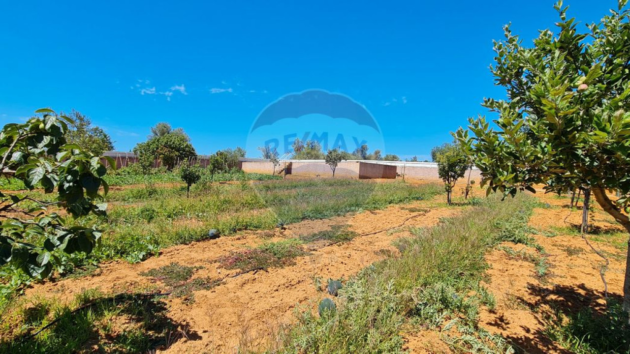 Terreno P/ Prédio para Venda em Boliqueime Foto 31