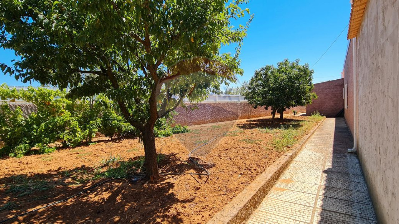 Terreno P/ Prédio para Venda em Boliqueime Foto 16