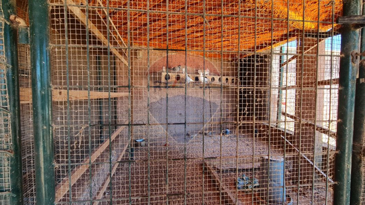 Terreno P/ Prédio para Venda em Boliqueime Foto 33