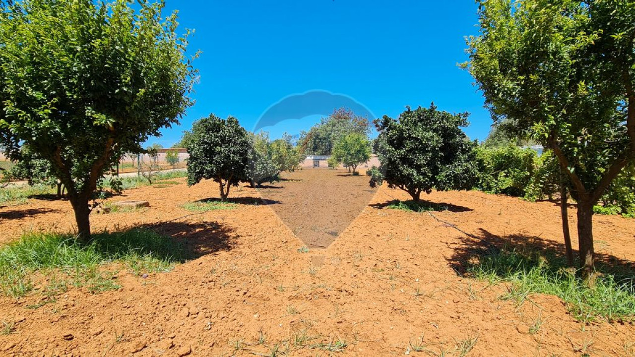 Terreno P/ Prédio para Venda em Boliqueime Foto 18