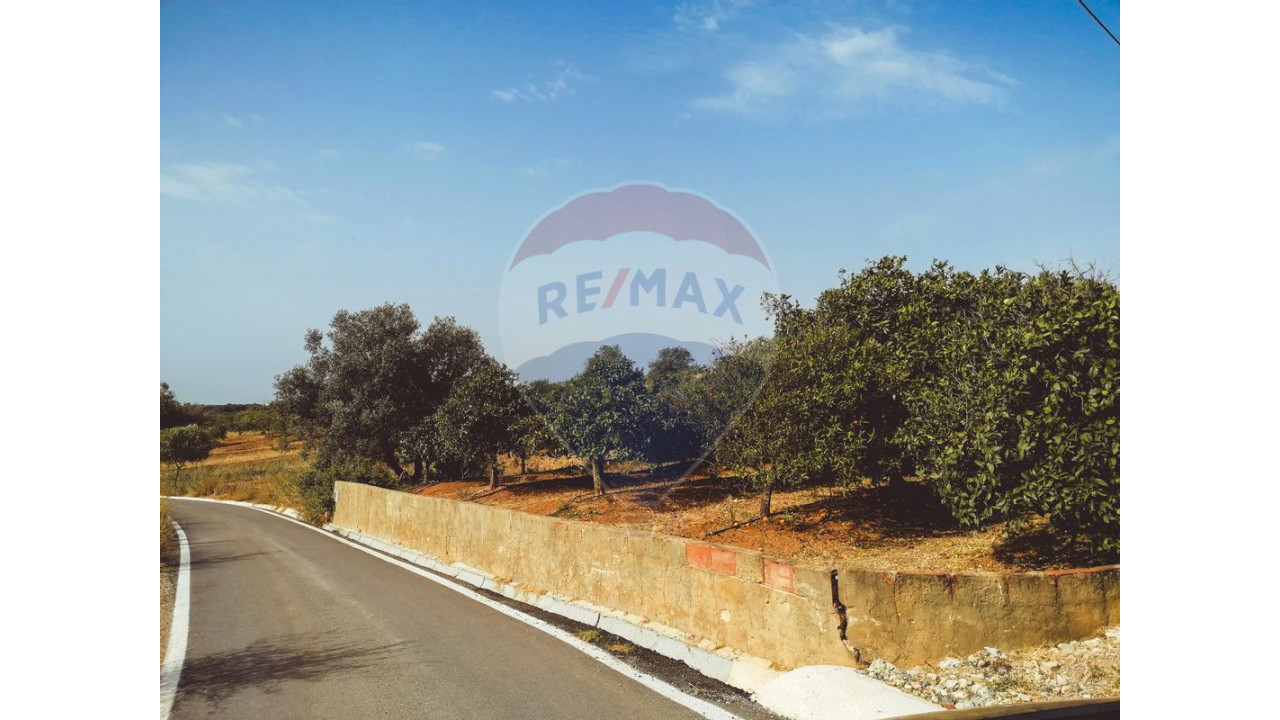 Terreno P/ Prédio para Venda em Boliqueime Foto 3