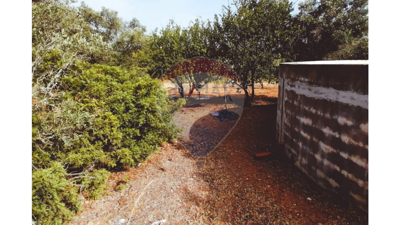 Terreno P/ Prédio para Venda em Boliqueime Foto 5