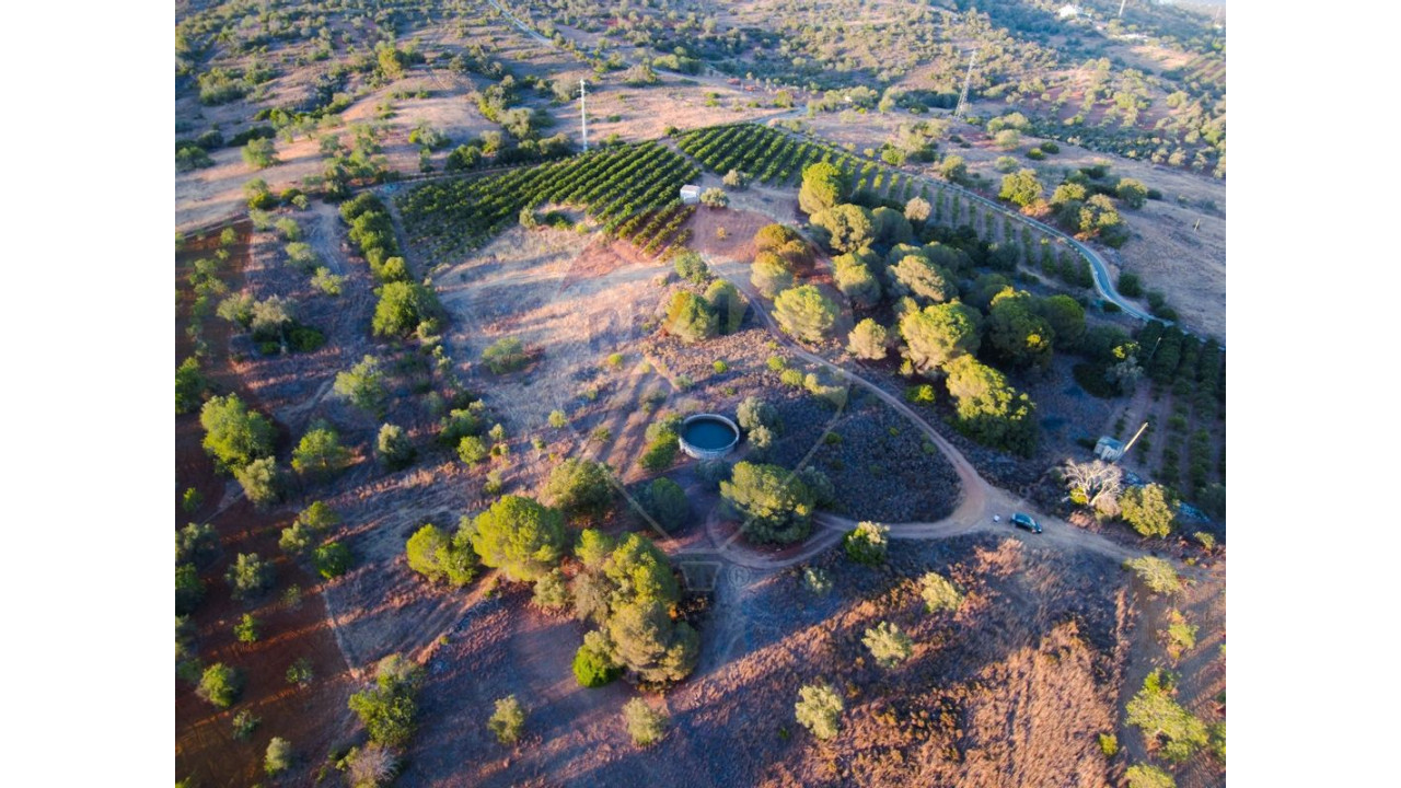 Terreno P/ Prédio para Venda em Boliqueime Foto 7