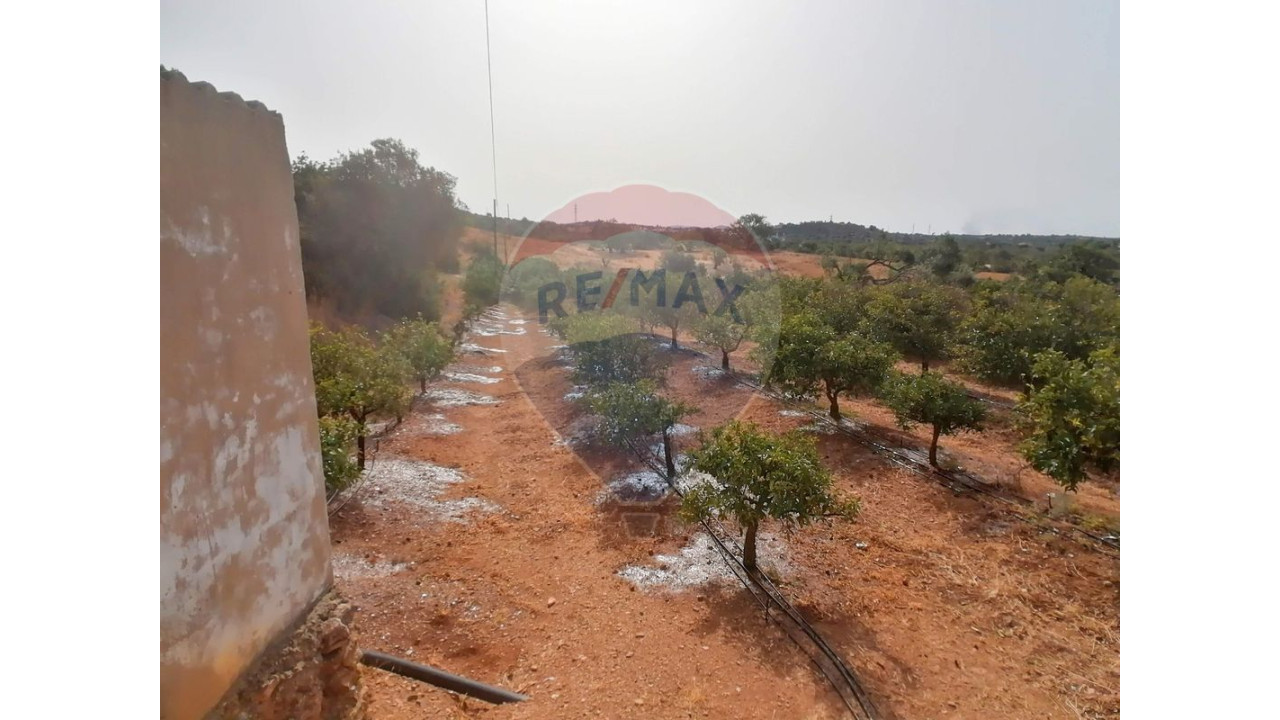 Terreno P/ Prédio para Venda em Boliqueime Foto 4