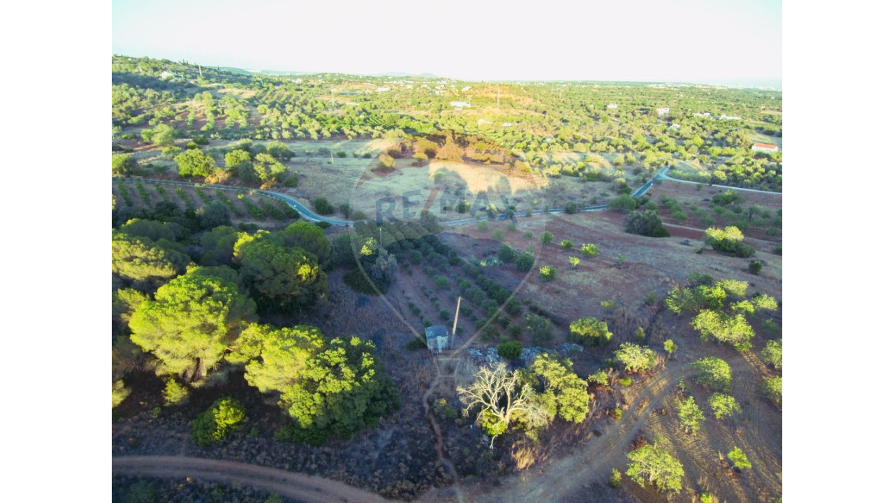 Terreno P/ Prédio para Venda em Boliqueime Foto 6