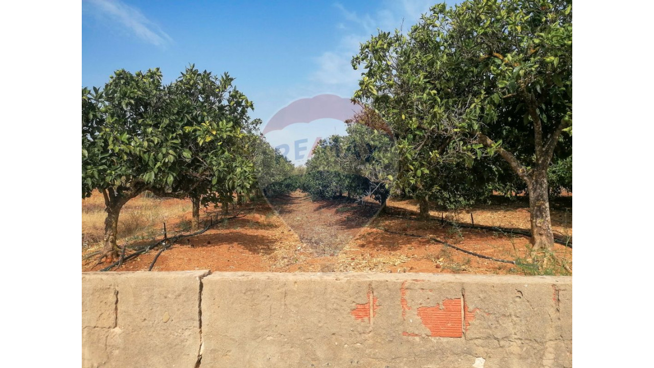 Terreno P/ Prédio para Venda em Boliqueime Foto 2