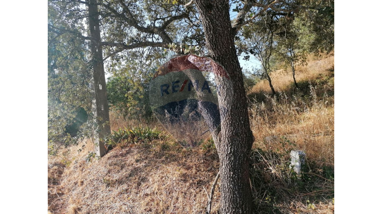 Terreno P/ Prédio para Venda em Salir Foto 3