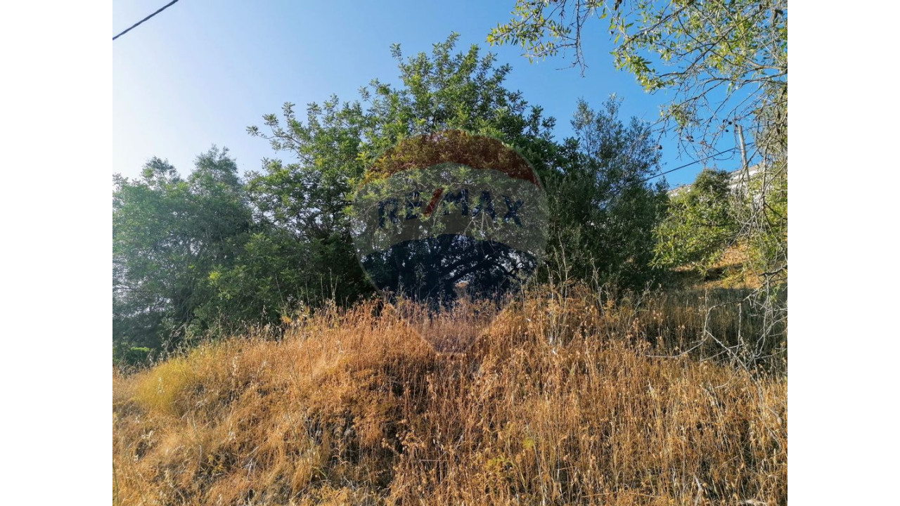 Terreno P/ Prédio para Venda em Salir