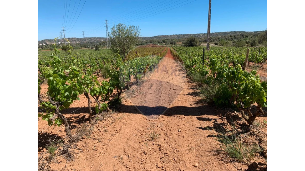 Terreno P/ Prédio para Venda em Algoz e Tunes Foto 8